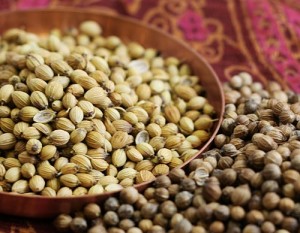 Coriander