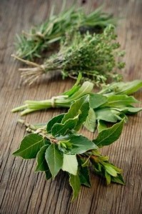 laurel herb